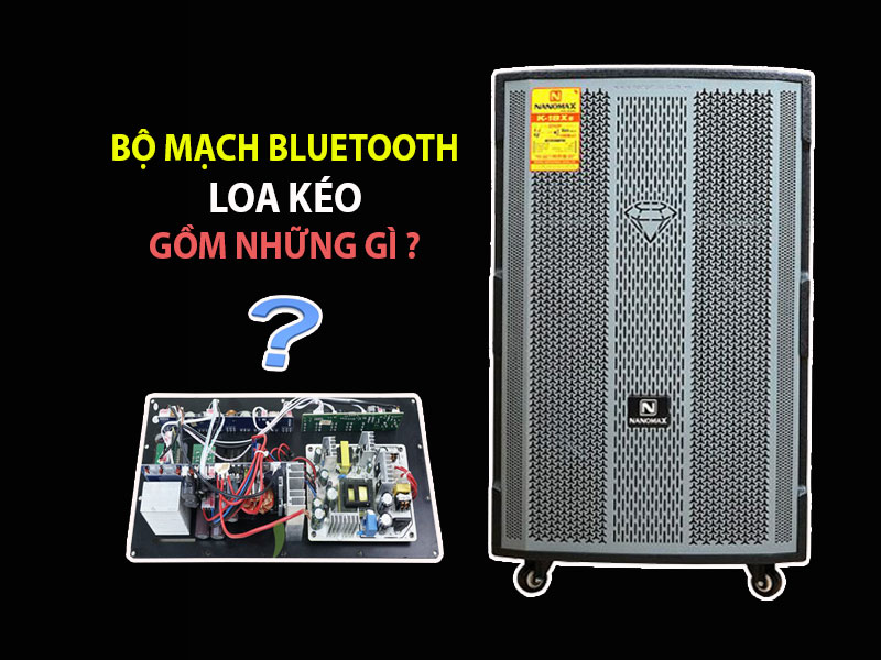 Giới thiệu về Bo Mạch Loa Kéo Nanomax